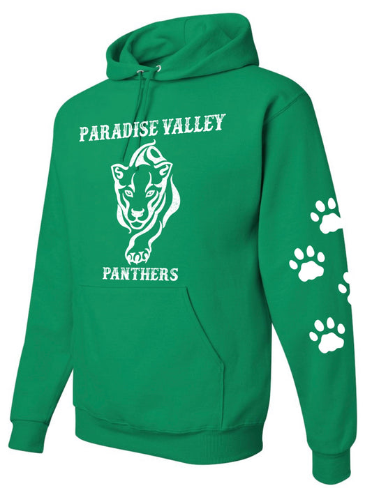 Panthers hoodie- YOUTH